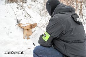 [VIDEO] Zbrodnia sprzed lat bliska wykrycia. Przełomowe działania policjantów z „ARCHIWUM X” z Gorzowa