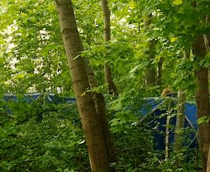 [VIDEO] RUTKOWSKI W AKCJI: Policyjni technicy przeszukali teren odnalezienia odzieży i noży w Gdańsku. Czy tajemnica zaginięcia Iwony Wieczorek znajdzie tu swoje rozwiązanie?