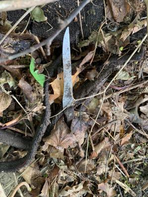 [VIDEO] RUTKOWSKI W AKCJI: Policyjni technicy przeszukali teren odnalezienia odzieży i noży w Gdańsku. Czy tajemnica zaginięcia Iwony Wieczorek znajdzie tu swoje rozwiązanie?