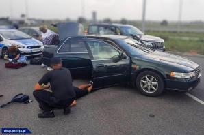 [VIDEO] Przejęte 112 kg marihuany przemycanej z Hiszpanii do Polski. Zatrzymane 3 osoby i zlikwidowany magazyn narkotyków