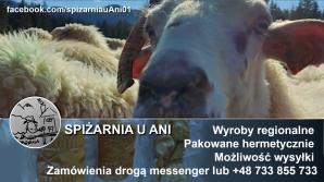 [VIDEO] PATRIOT24 REKOMENDUJE WYPOCZYNEK: Doimy owce i robimy góralskie sery w Dolinie Chochołowskiej! 