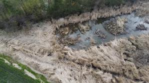 [VIDEO] PATRIOT24 INTERWENIUJE: Implozję beczkowozu zobaczył inspektor w wylewaniu szamba koło domu przez szambiarzy!