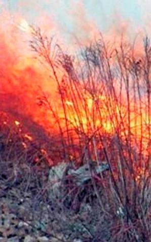 Rośnie ilość pożarów spowodowanych wypalaniem traw