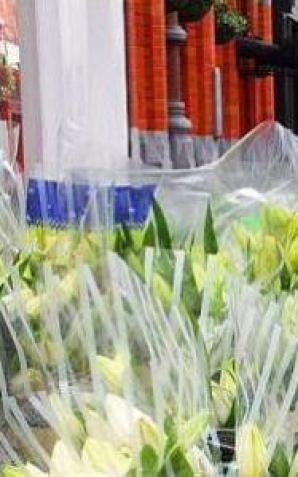 Zostań Dziennikarzem Obywatelskim Patriot24.net. Dziel się informacjami i opiniami z całym światem!