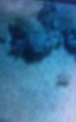 [VIDEO] Prokuratorze Regionalny w Lublinie! Oto zdjęcia i współrzędne nielegalnego, cmentarnego śmietniska na probostwie w Trzeszczanach! Czy podlegli Panu Prokuratorzy okłamują Polski Rząd?