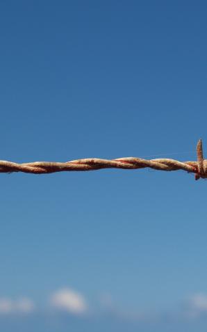 Tymczasem na granicy białoruskiej uniemożliwiono nielegalne przekroczenie 98 osobom z Afganistanu, Egiptu, Syrii, Iraku, Indii, Pakistanu, Sudanu, Somalii, RPA, Jemenu i Ghany