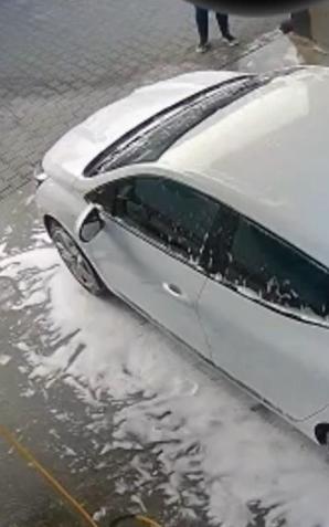 Ach ta Małopolska!  Oświęcimianin chciał zaoszczędzić i umył psa w myjni samochodowej