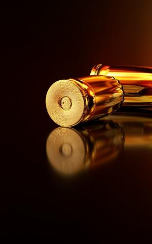 Podkarpacki pion PZ PK skierował akt oskarżenia w śledztwie dotyczącym międzynarodowej zorganizowanej grupy przestępczej przemycającej broń