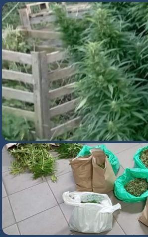 [VIDEO] Mocne uderzenie w narkobiznes – rozbita zorganizowana grupa przestępcza przemycająca substancje zabronione z zagranicy