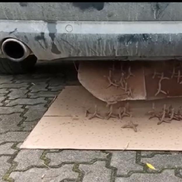 [VIDEO] Przemytnicy się zbroją. Audi z systemem anty pościgowym i towar za 324 tyś w rękach SG