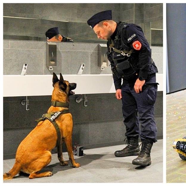 [VIDEO] Lubuska Policja: Ćwiczymy, by stawać się bardziej skutecznym w zapewnianiu bezpieczeństwa