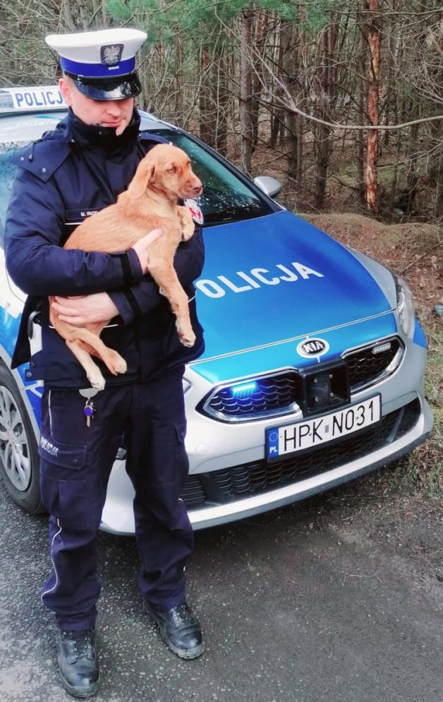 Pies wyrzucony w foliowym worku do lasu