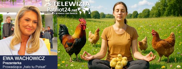 [VIDEO] Ewa Wachowicz i jej kury – radość, która wraca z dzieciństwa
